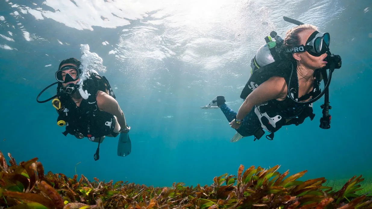 Lees meer over het artikel Drift Diver