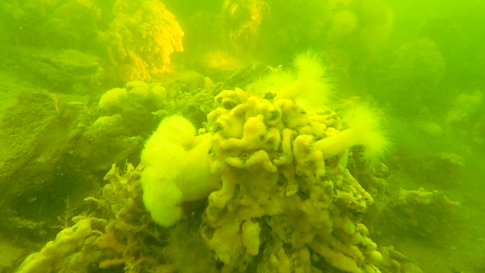 Lees meer over het artikel Zeeland Weekend 2025