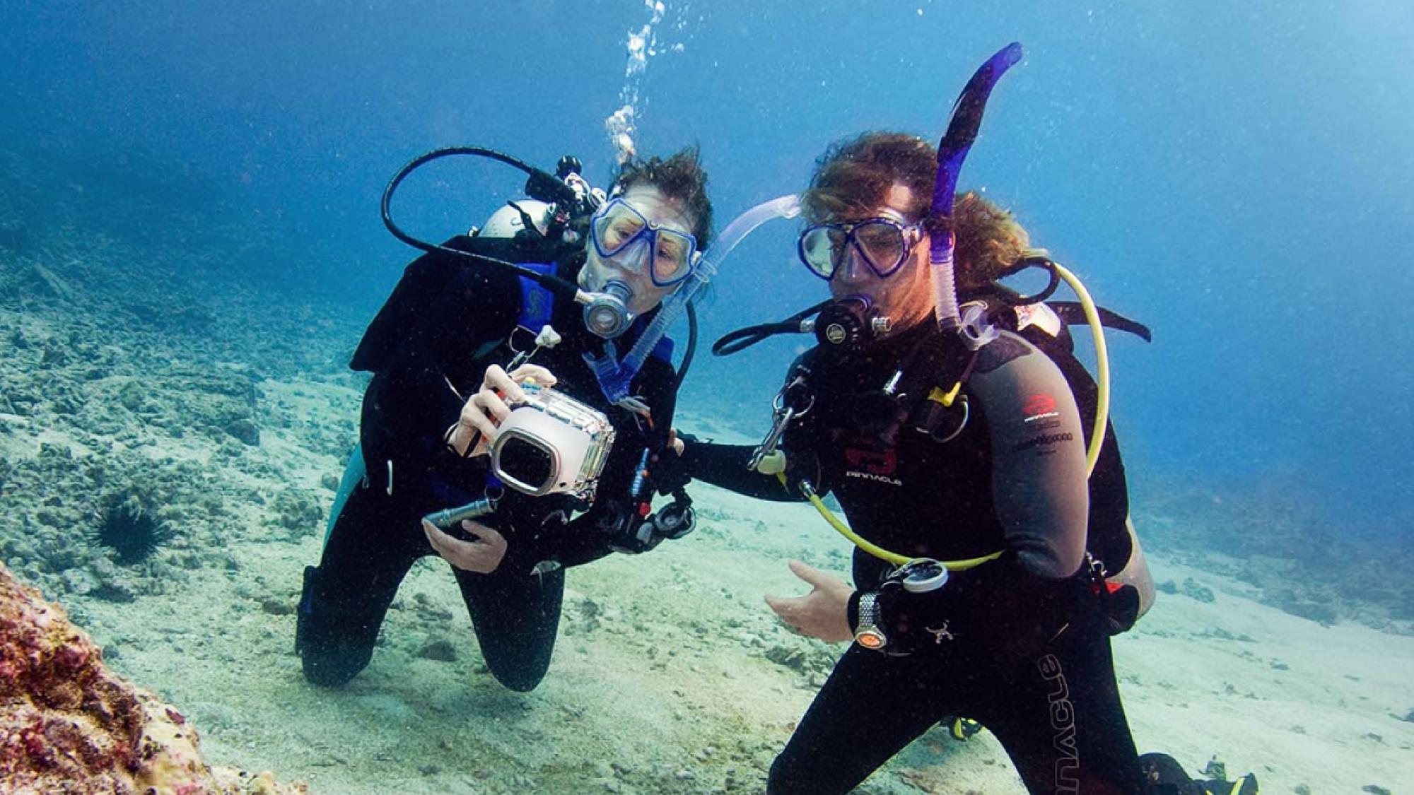 Lees meer over het artikel Digital Underwater Photographer