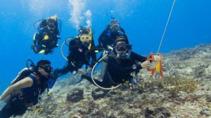 Lees meer over het artikel Drift Diver